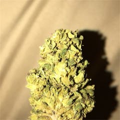 User uploaded image of Black Widow