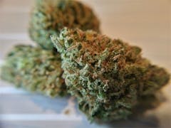 User uploaded image of Black Widow