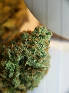 User uploaded image of Black Widow