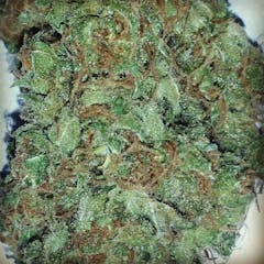 User uploaded image of Black Widow