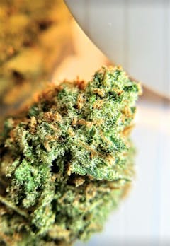 User uploaded image of Black Widow