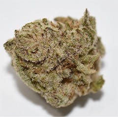 User uploaded image of Blackberry Bubble