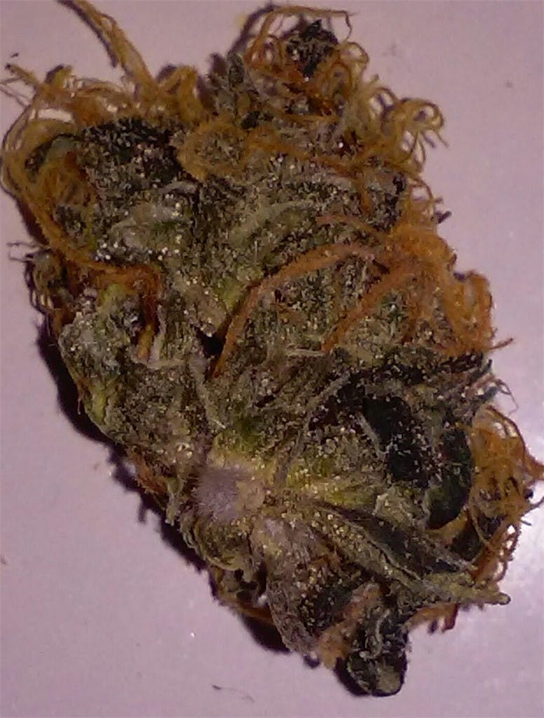 Blackberry Cream aka Blackberry Creme Marijuana Strain Information Leafly