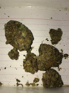 User uploaded image of Blackberry Diesel