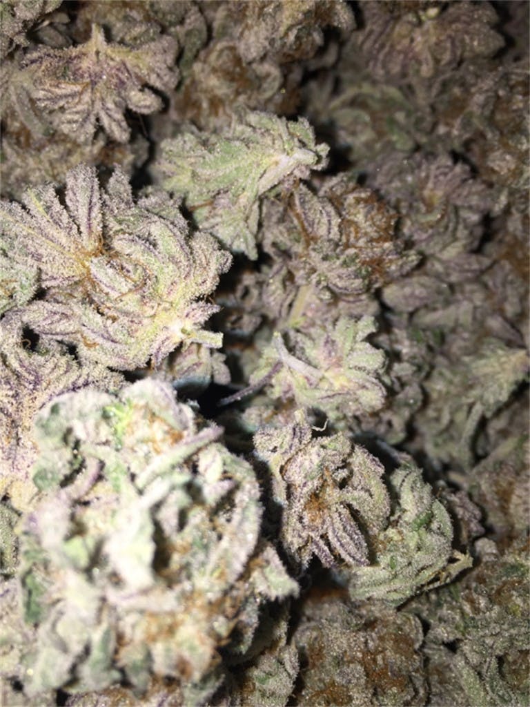 Blackberry Diesel aka Blackberry Sour Weed Strain Information Leafly