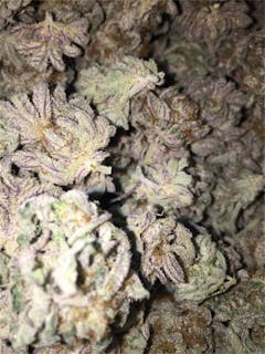 User uploaded image of Blackberry Diesel