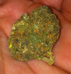 User uploaded image of Blackberry Diesel