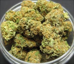User uploaded image of Blackberry Hashplant