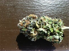 User uploaded image of Blackberry Hashplant