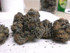 User uploaded image of Blackberry Hashplant