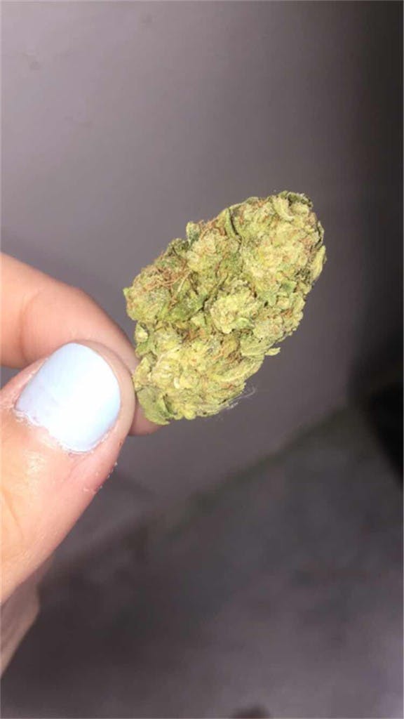 Blackberry Hashplant Weed Strain Information Leafly