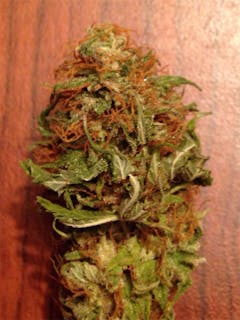 User uploaded image of Blackberry Hashplant