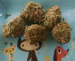 User uploaded image of Blackberry Haze