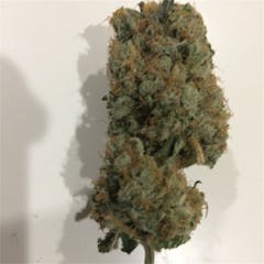User uploaded image of Blackberry Haze