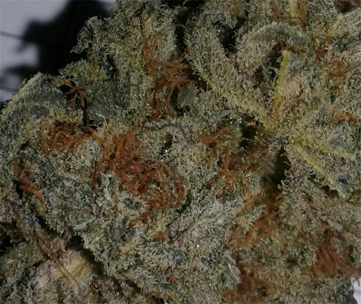 Blackberry Kush aka BBK Weed Strain Information Leafly