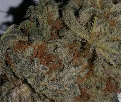 User uploaded image of Blackberry Kush