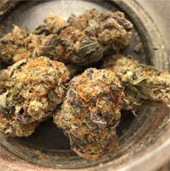 User uploaded image of Blackberry Kush