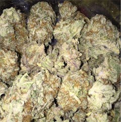 User uploaded image of Blackberry Kush