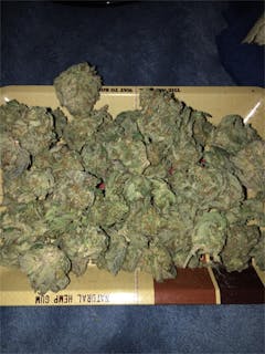 User uploaded image of Blackberry Pie