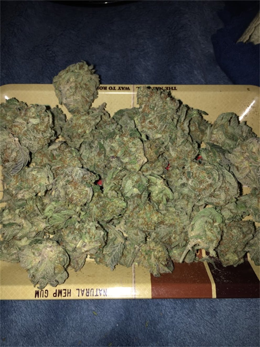 Photos of Blackberry Pie Weed Strain Buds Leafly