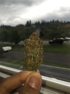 User uploaded image of Blackberry Pie