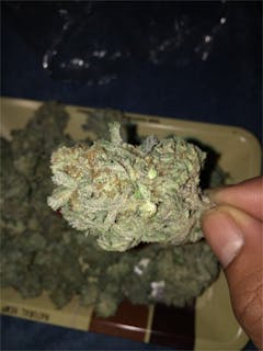 User uploaded image of Blackberry Pie