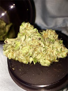 User uploaded image of Blackberry Rhino