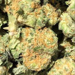 User uploaded image of Blackberry Rhino