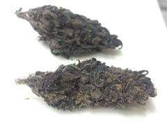 User uploaded image of Blackberry Rhino