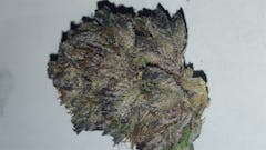 User uploaded image of Blackberry Trainwreck