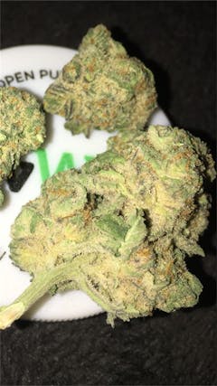 User uploaded image of Blackberry x Blueberry