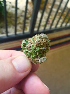User uploaded image of Blackberry x Blueberry
