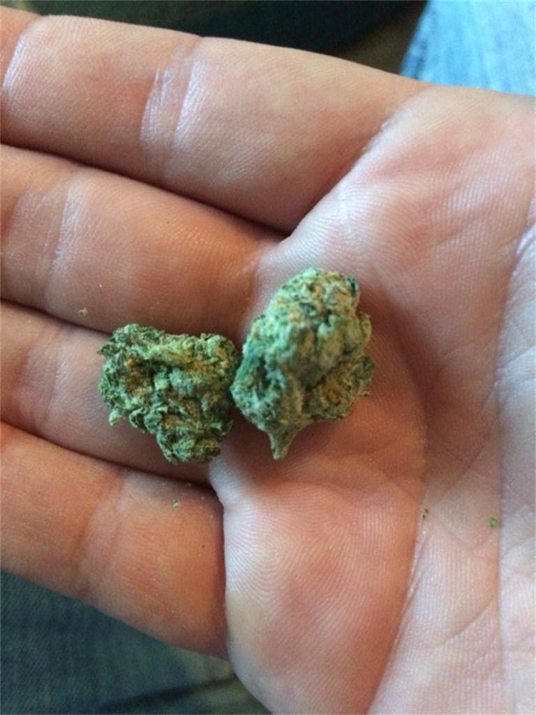 Blackberry x Blueberry Weed Strain Information Leafly