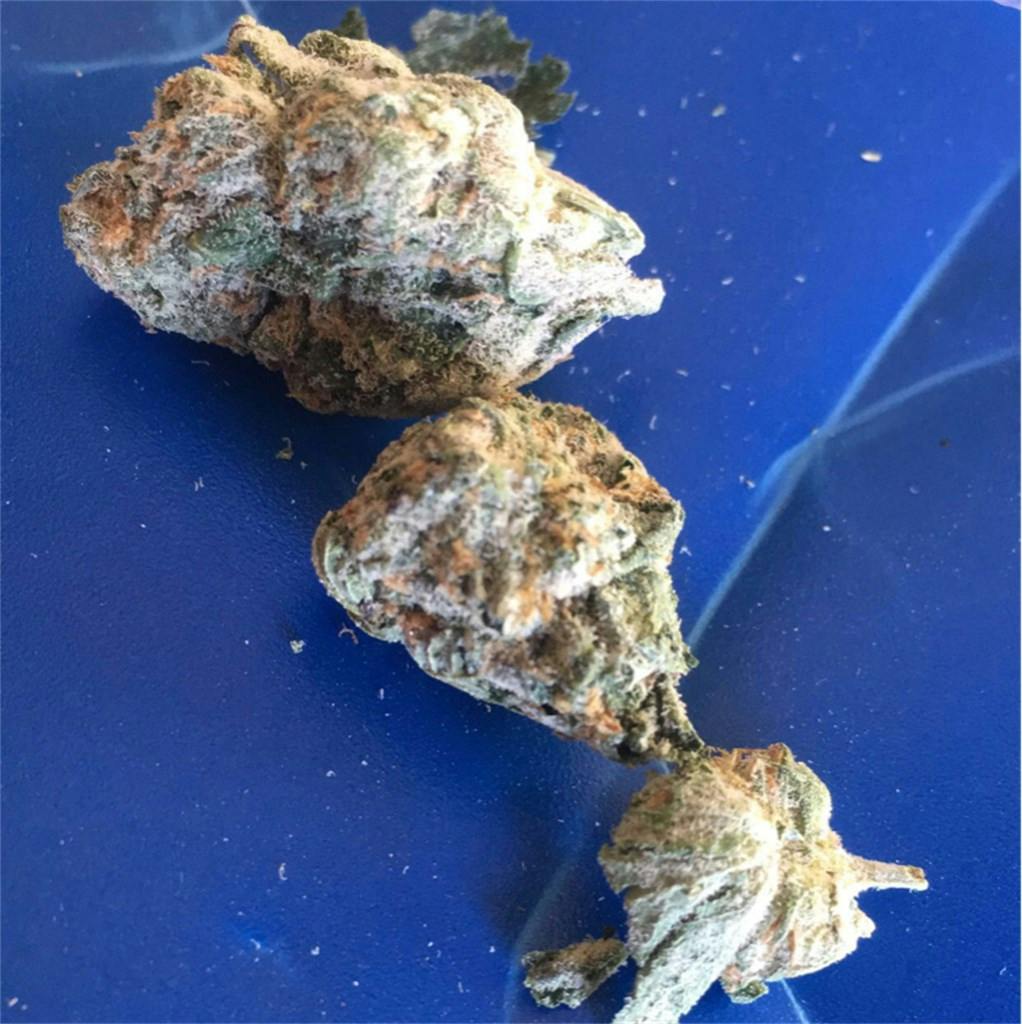 Blackberry x Blueberry Weed Strain Information Leafly