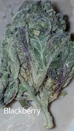 User uploaded image of Blackberry