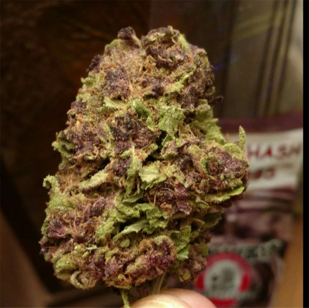 Blackberry Weed Strain Information Leafly