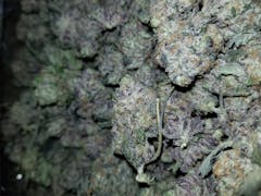 User uploaded image of Blackwater