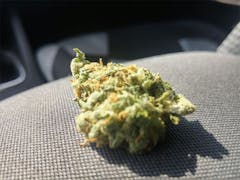 User uploaded image of Blaze