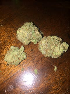 User uploaded image of Blaze