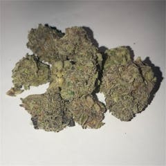 User uploaded image of Blissful Wizard