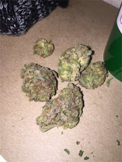 User uploaded image of Blissful Wizard