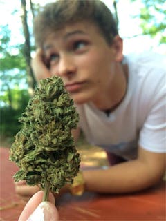 User uploaded image of Blissful Wizard