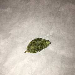 User uploaded image of Blissful Wizard