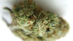 User uploaded image of Blob OG