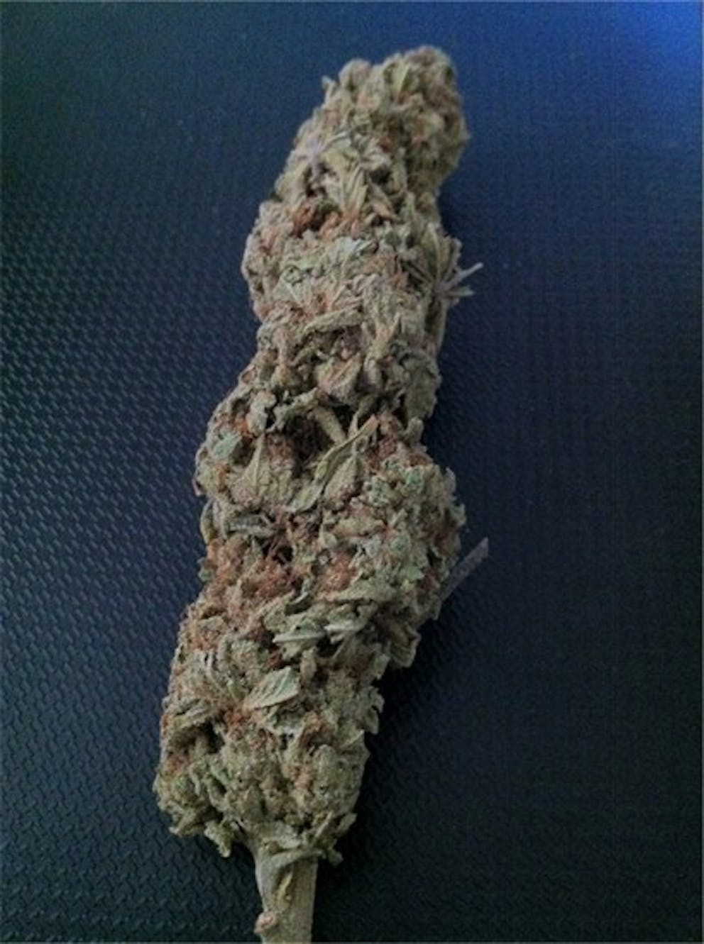 Photos of Blockhead Weed Strain Buds Leafly