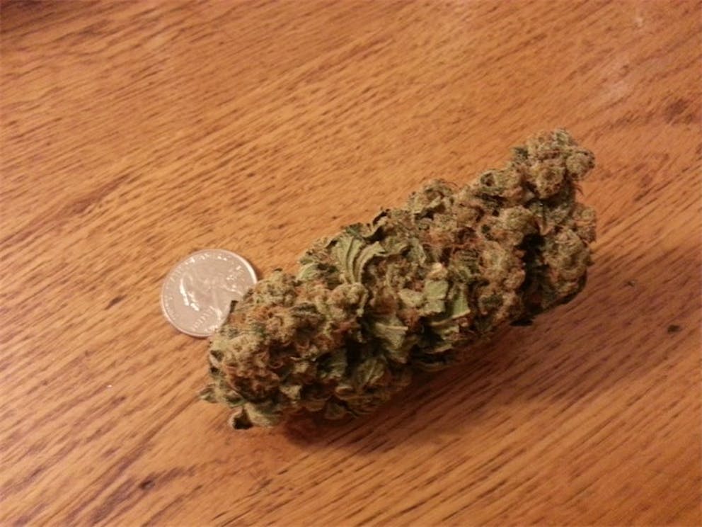 Photos of Blockhead Weed Strain Buds Leafly