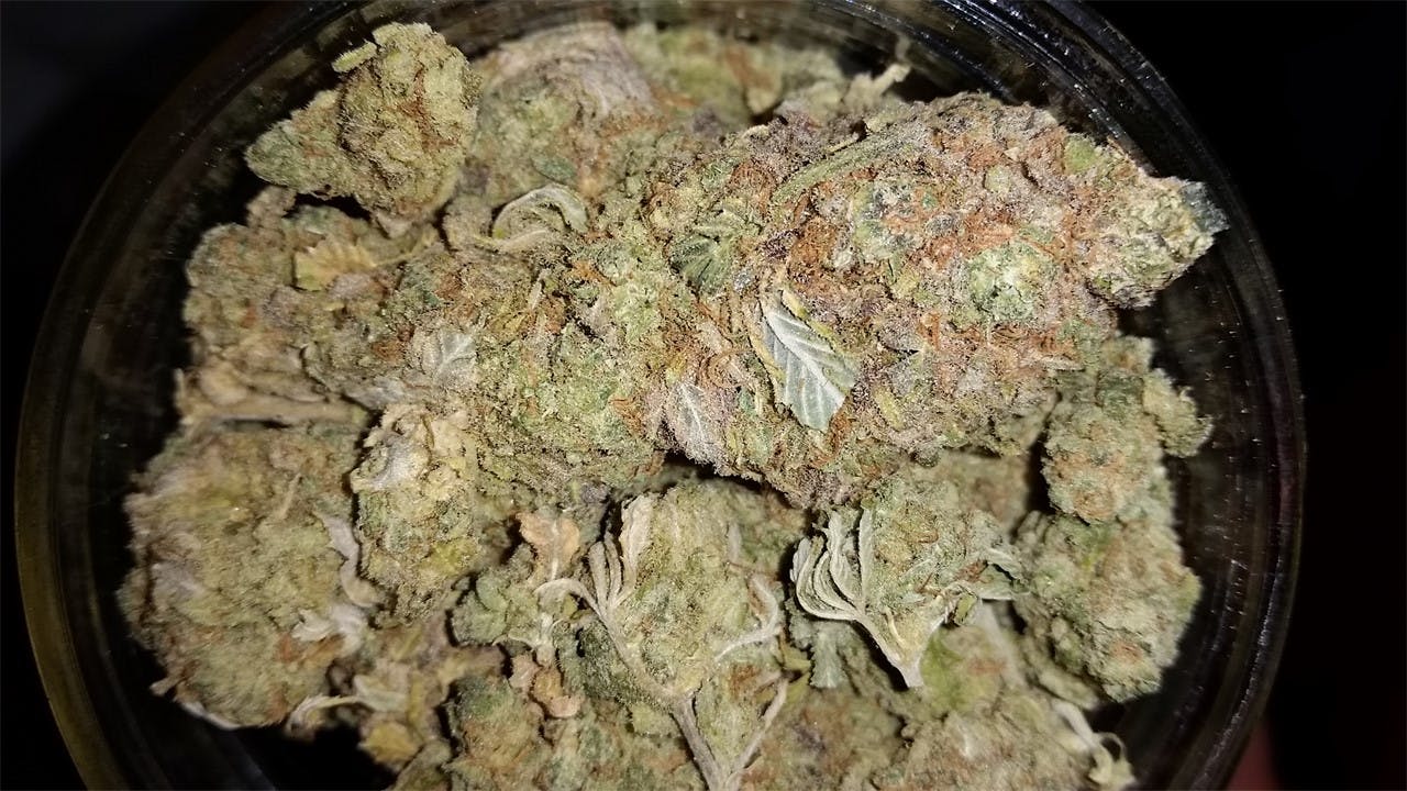 Photos of Blockhead Weed Strain Buds Leafly