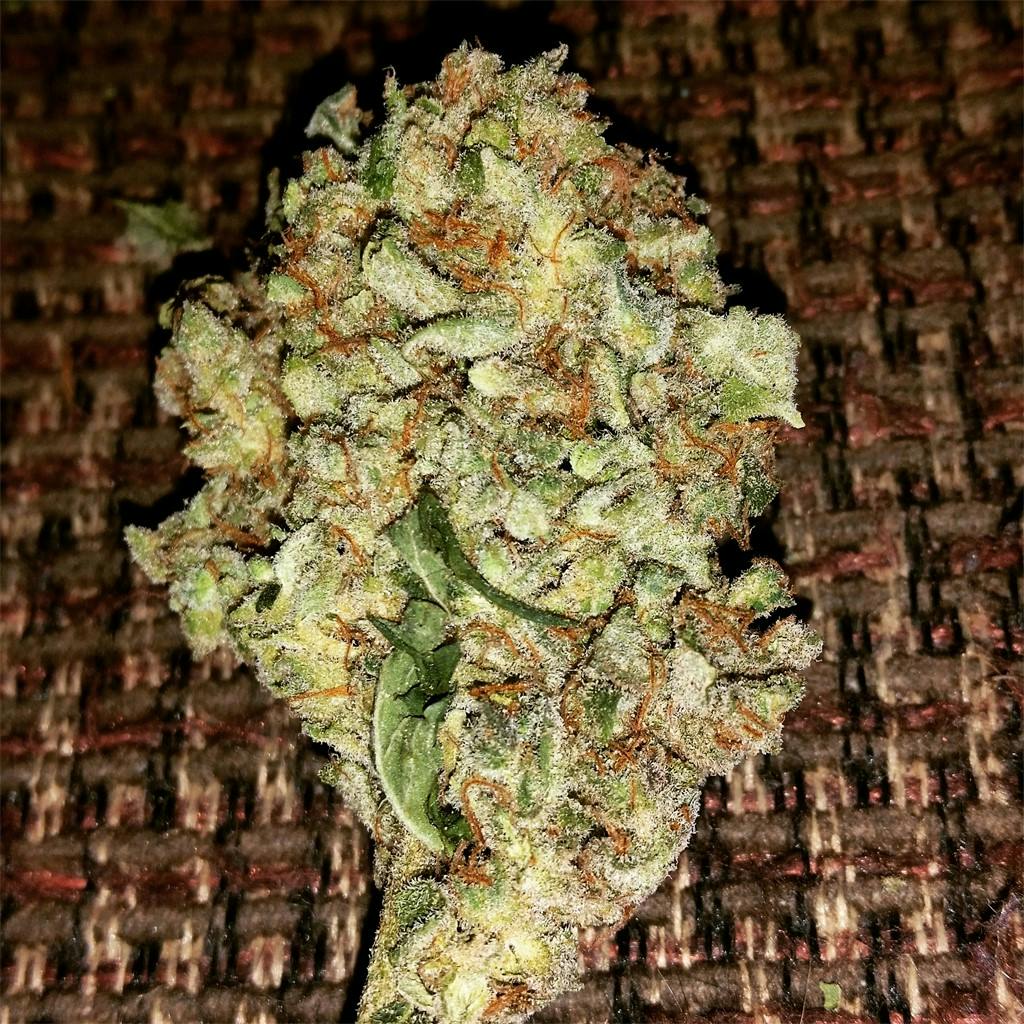 Photos of Blockhead Weed Strain Buds Leafly