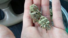 User uploaded image of Blockhead