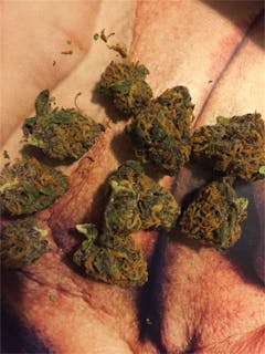 User uploaded image of Blockhead